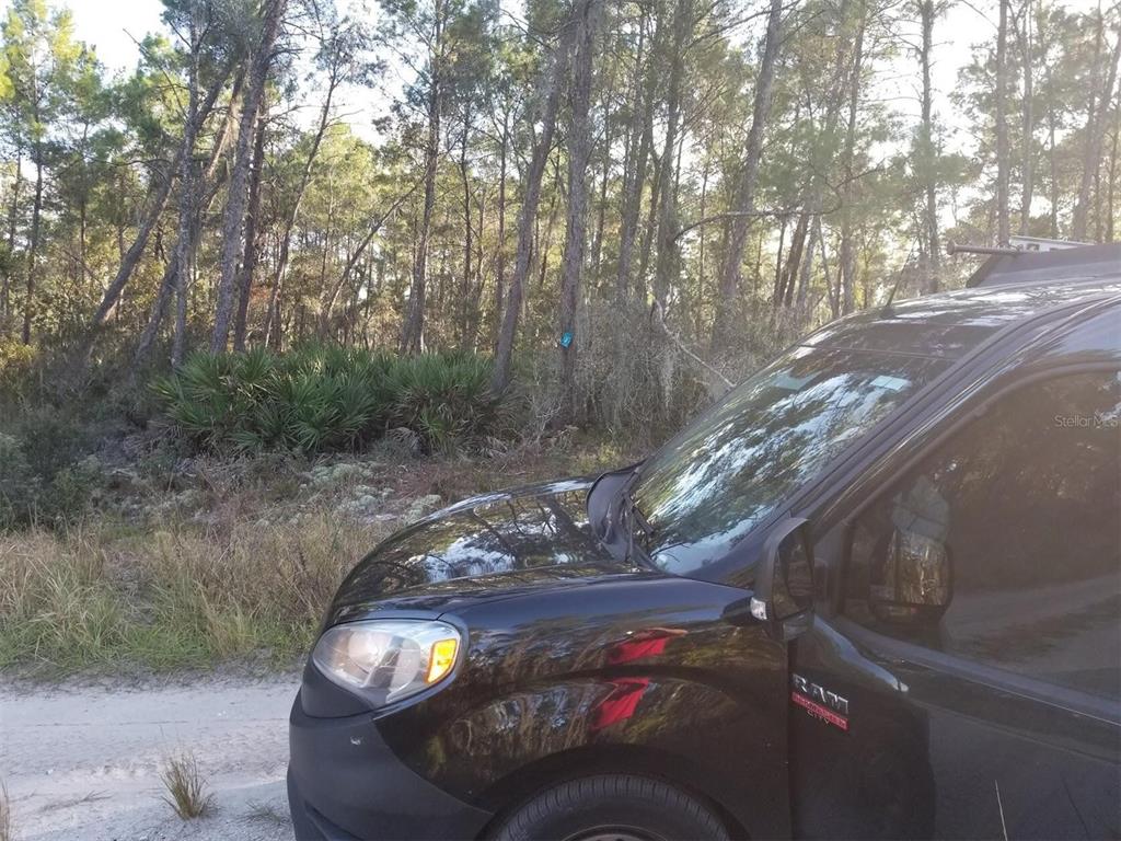 A black Ram ProMaster City van is parked on a sandy path beside a forest — 455 HUMMINGBIRD AVENUE, SEBRING, FL