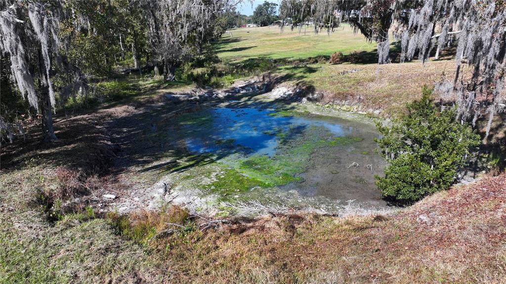 An aerial view of a small, shallow pond surrounded by trees with Spanish moss — 3182 INDIAN RIDGE PLACE, LAKELAND, FL