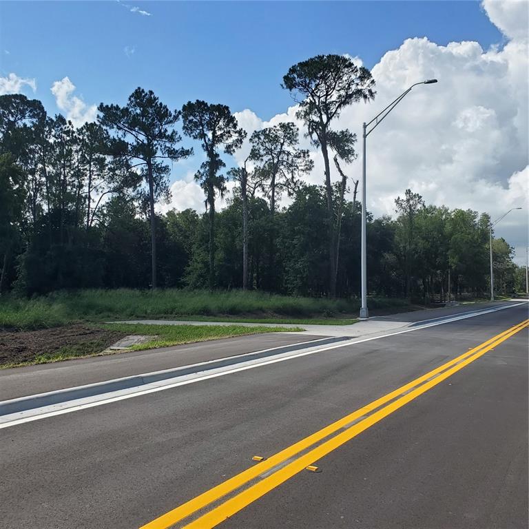 POLLARD ROAD, WINTER HAVEN, FL — photo 3 of 17