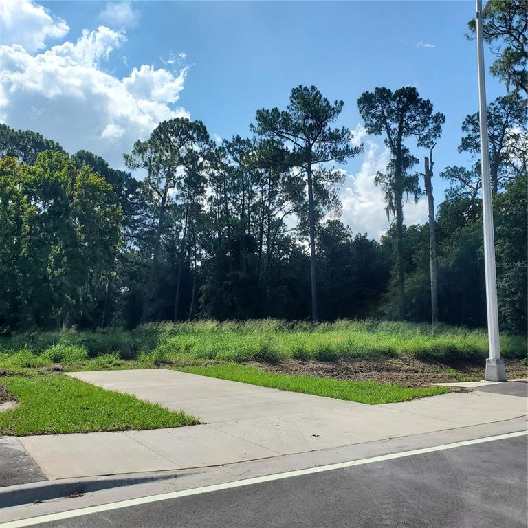 POLLARD ROAD, WINTER HAVEN, FL — photo 4 of 17
