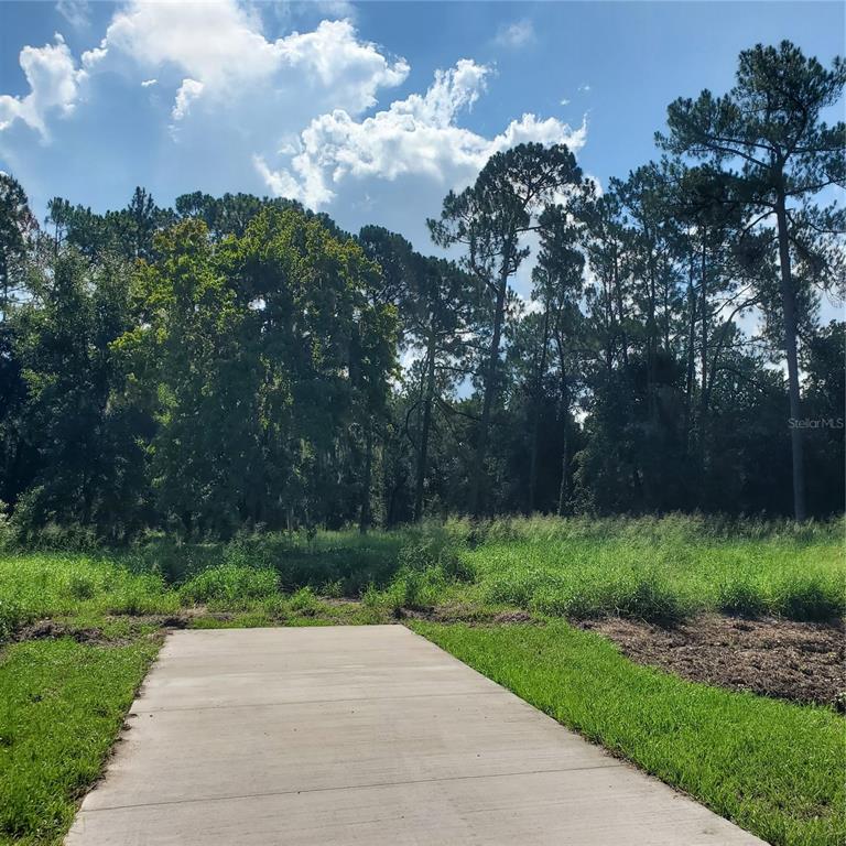 POLLARD ROAD, WINTER HAVEN, FL — photo 5 of 17
