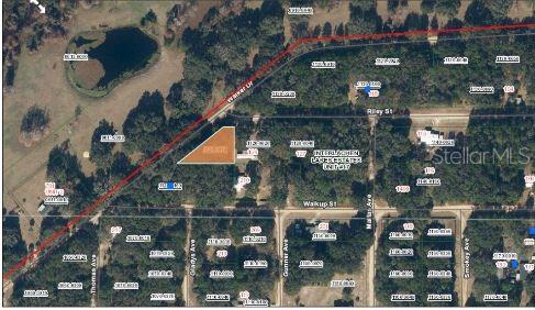 This aerial map shows a highlighted vacant lot located near a road and wooded area — RILEY STREET, INTERLACHEN, FL