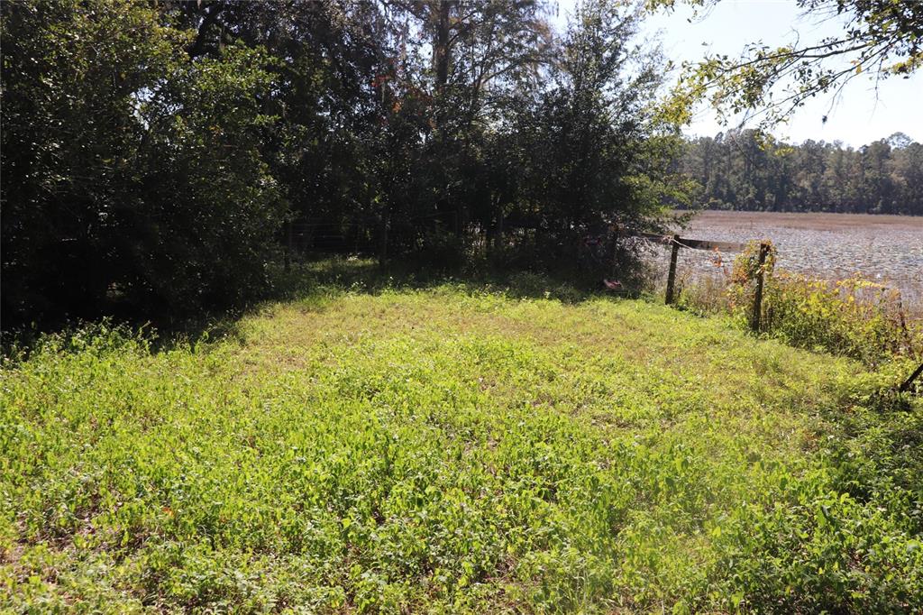 A grassy clearing sits beside a fence line bordering a lake covered in lily pads — 14150 NE 110TH AVENUE ROAD, FORT MC COY, FL