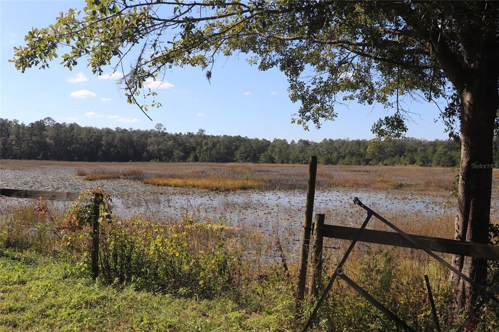 A wooden fence borders a marshy pond with a forest in the background — 14150 NE 110TH AVENUE ROAD, FORT MC COY, FL