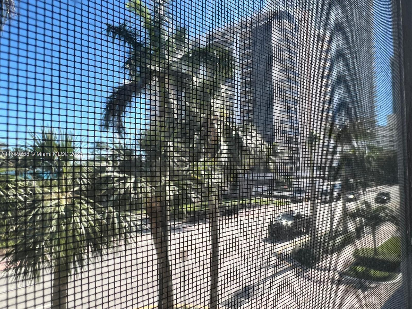 A view of a street with palm trees and buildings seen through a window screen — 6450 Collins Ave # 206, Miami Beach FL 33141, MIAMI BEACH, FL