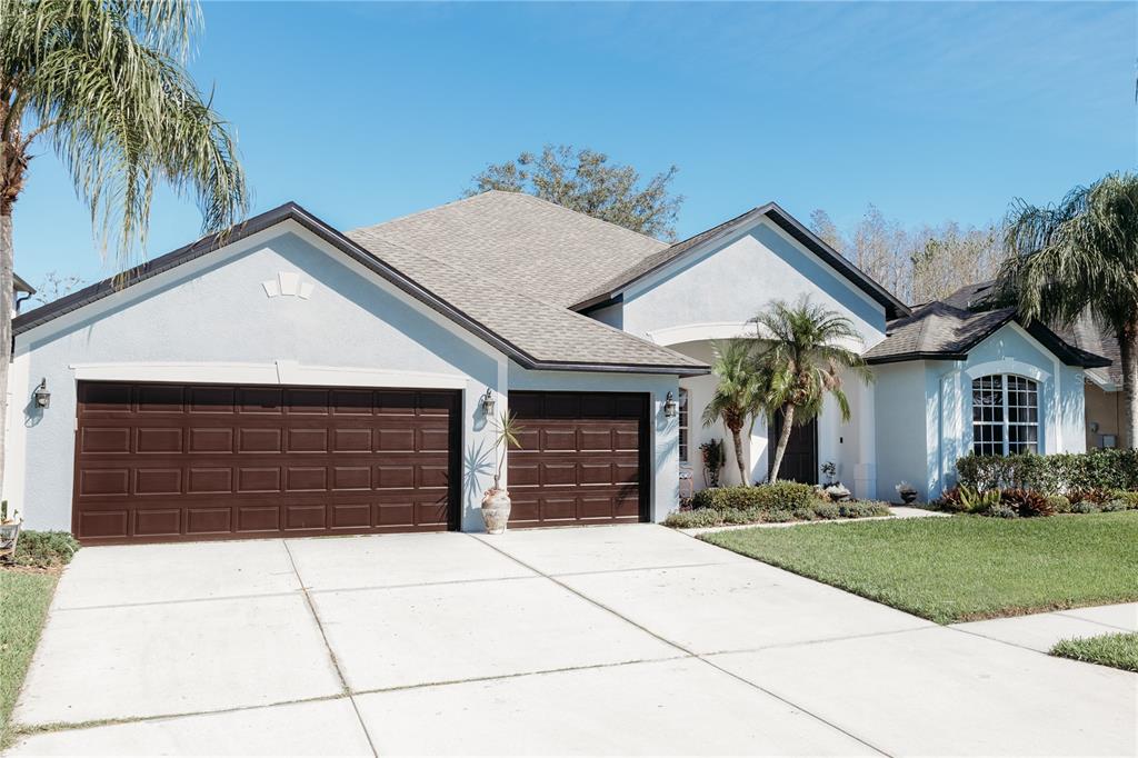 26620 SHOREGRASS DRIVE, WESLEY CHAPEL, FL — photo 2 of 30