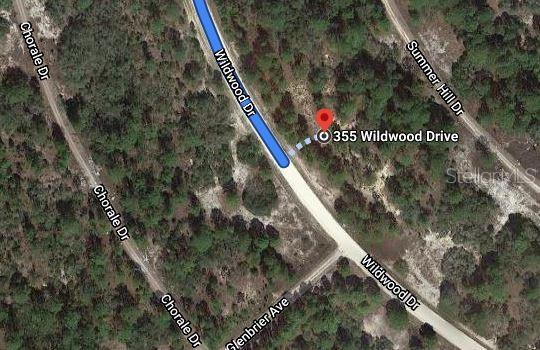 This is a satellite map view showing a vacant lot located along a paved road — 355 WILDWOOD DRIVE, LAKE PLACID, FL