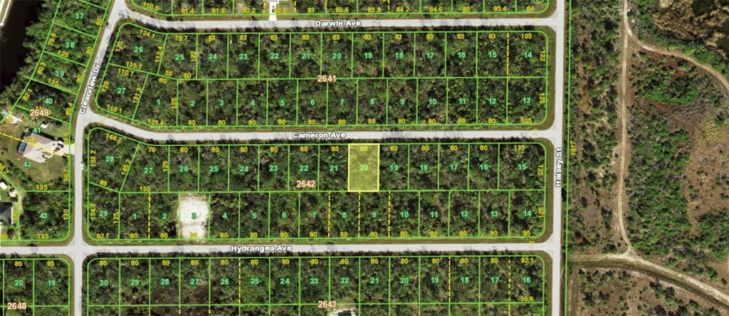This is a satellite map showing a grid of undeveloped residential lots — 14215 CAMERON AVENUE, PORT CHARLOTTE, FL