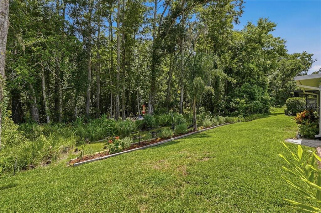 A grassy backyard features a raised garden bed bordering a dense line of mature trees — 11602 WHITE ASH DRIVE, NEW PORT RICHEY, FL