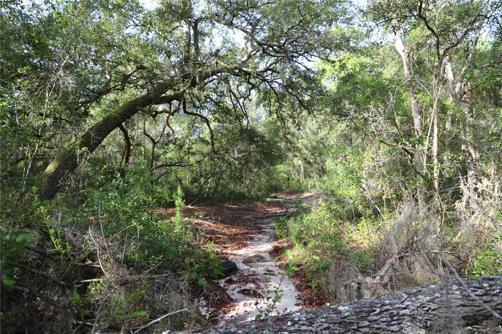 00 STATE ROAD 100, KEYSTONE HEIGHTS, FL — photo 2 of 6