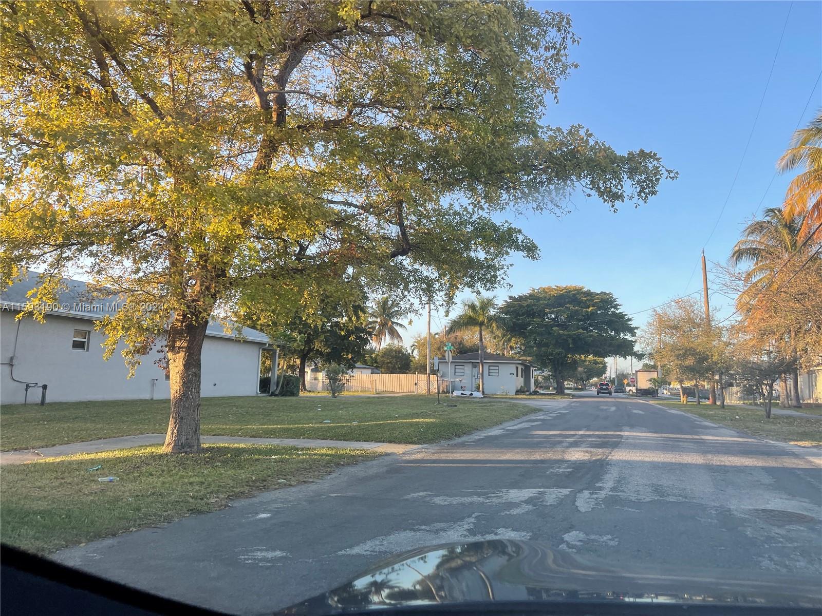 A residential street view features a large tree, a white house, and palm trees — 6 Nw Ave, Hallandale Beach FL 33009, HALLANDALE BEACH, FL
