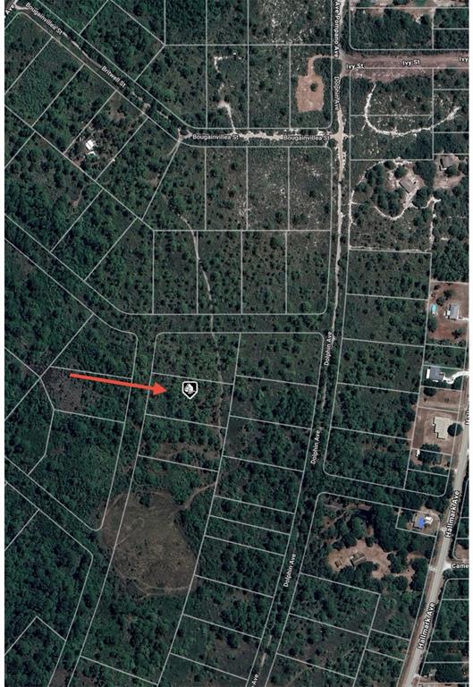 This is an aerial map showing a vacant lot marked with a pin — 745 MARLIN STREET, LAKE PLACID, FL
