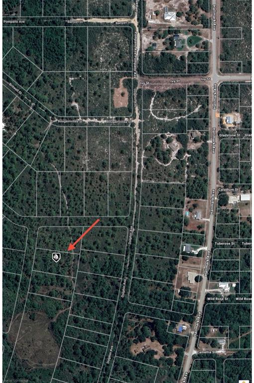 This is a satellite map showing a vacant lot marked with an arrow — 745 MARLIN STREET, LAKE PLACID, FL