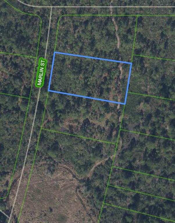 This is an aerial map showing a rectangular plot of land outlined in blue — 745 MARLIN STREET, LAKE PLACID, FL