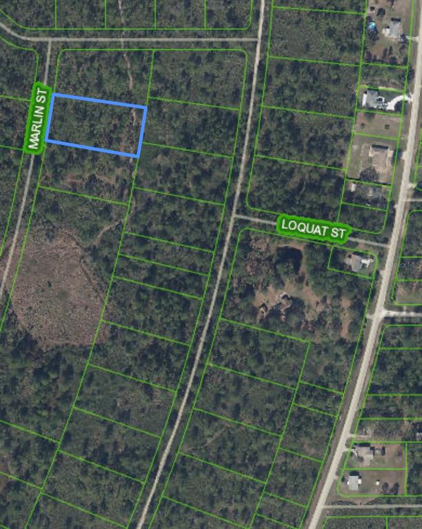 This is an aerial map showing a highlighted rectangular plot of land near a street — 745 MARLIN STREET, LAKE PLACID, FL
