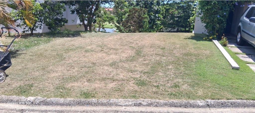 A flat, grassy residential lot sits between a paved driveway and a leafy backyard area — 145 MONTECARLO UNIT 145, HUMACAO, PR