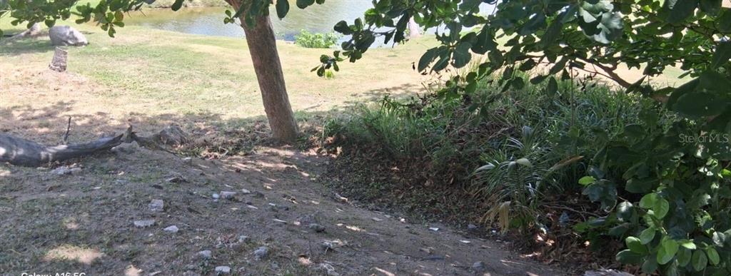 A view of a grassy slope leading down to a pond under tree shade — 145 MONTECARLO UNIT 145, HUMACAO, PR