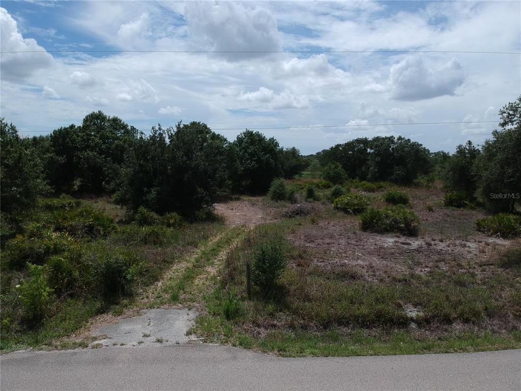 An overgrown, vacant lot features a dirt path leading from a paved road into trees — 1865 NE CROSS AVENUE, ARCADIA, FL