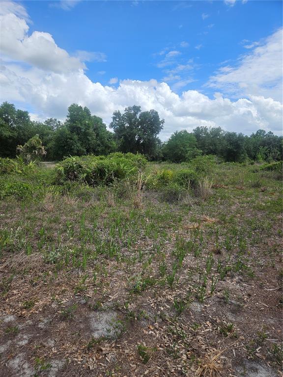 A grassy, undeveloped lot features scattered shrubs and trees under a blue, cloudy sky — 1865 NE CROSS AVENUE, ARCADIA, FL