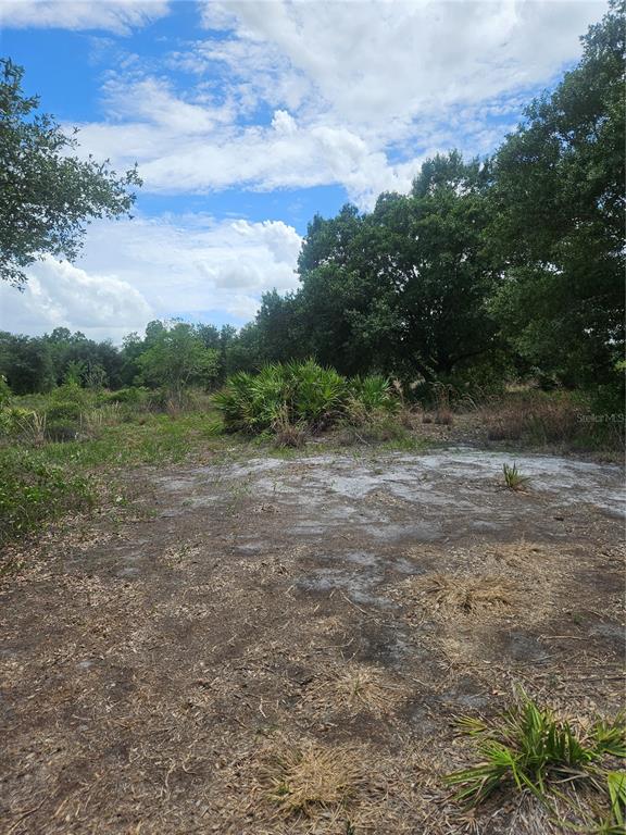 A view of a sandy, partially cleared lot with scattered palmettos and mature trees — 1865 NE CROSS AVENUE, ARCADIA, FL