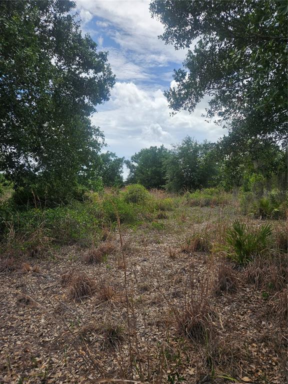 A view of a vacant, wooded lot with dry grass and scattered trees under a sky — 1865 NE CROSS AVENUE, ARCADIA, FL