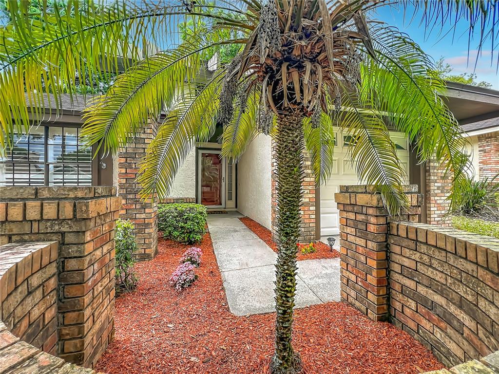 A palm tree stands in front of a brick-walled entryway leading to a house entrance — 2966 GOLDEN VIEW LANE, ORLANDO, FL