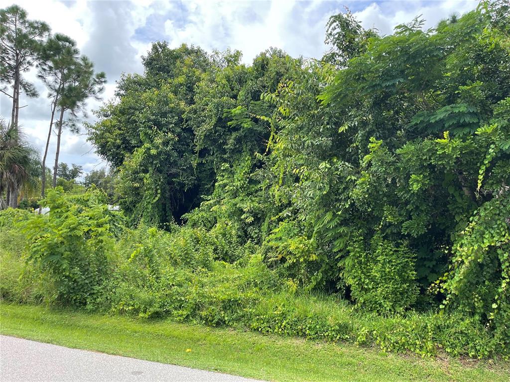 A dense, overgrown lot with trees and shrubs sits next to a paved road — 11329 PINETRAIL ROAD, PUNTA GORDA, FL