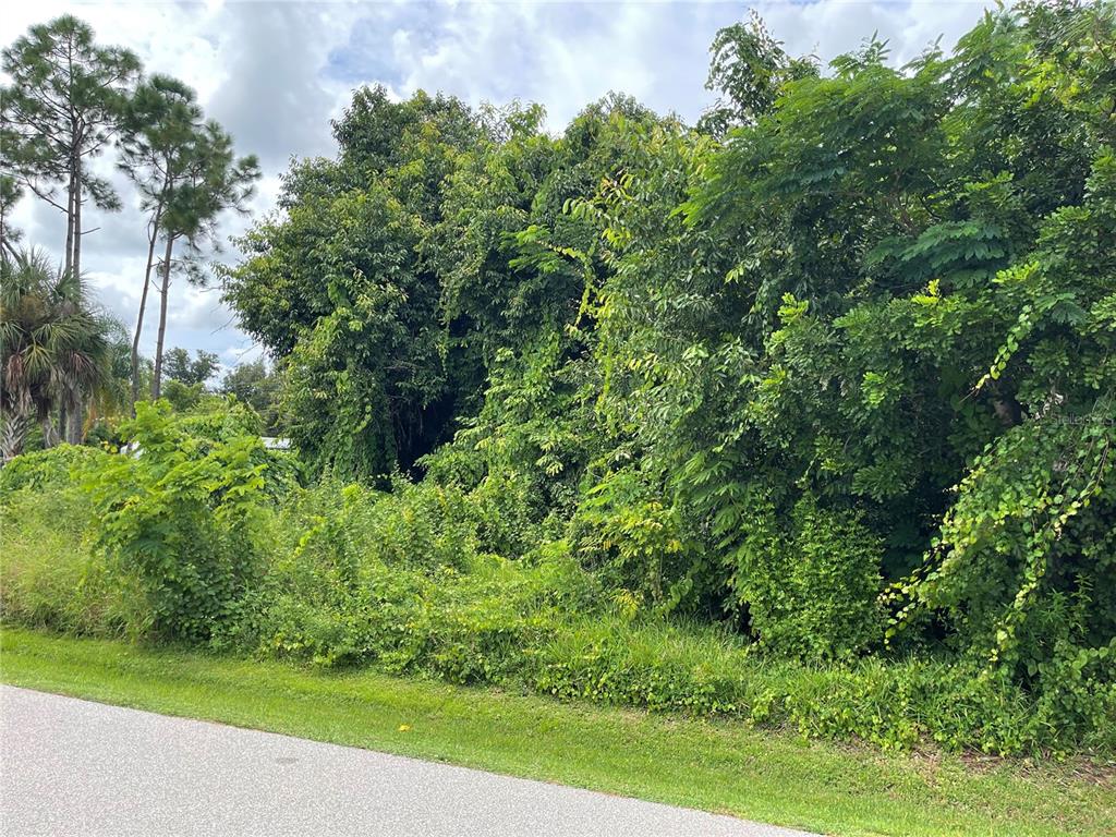 A dense, overgrown lot with tall trees and thick vegetation borders a paved road — 11329 PINETRAIL ROAD, PUNTA GORDA, FL