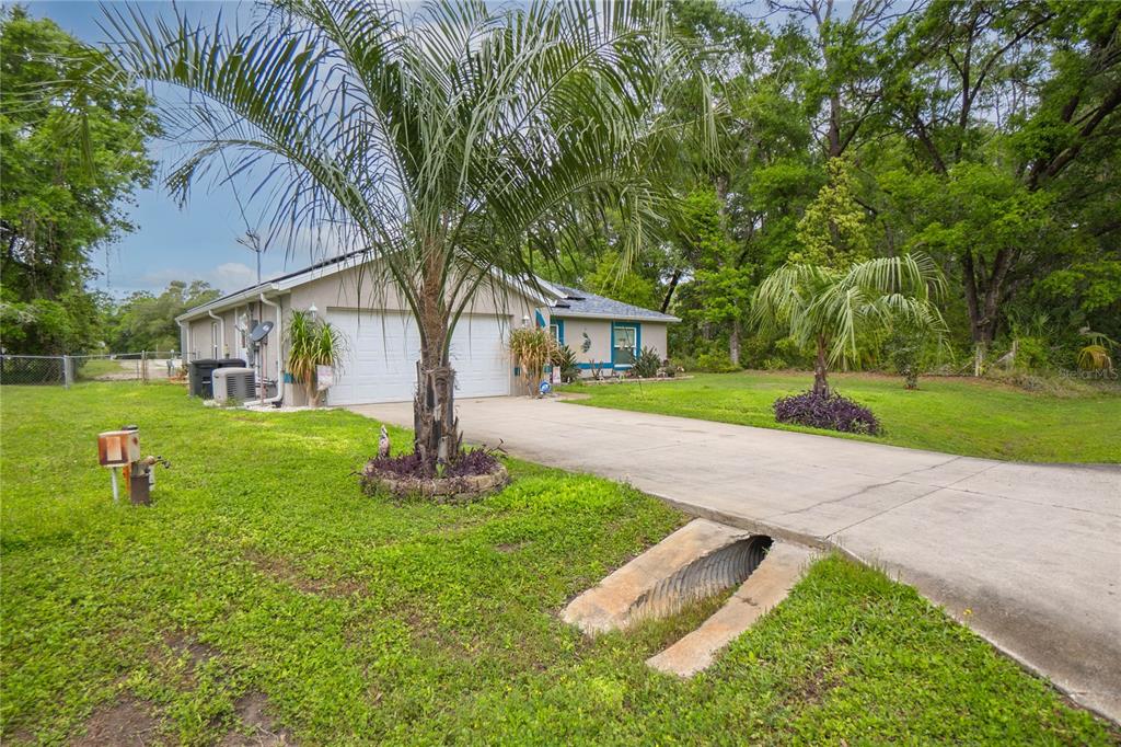 A single-story house with a two-car garage, a concrete driveway, and palm trees in front — 3956 S FERNPARK TERRACE, INVERNESS, FL