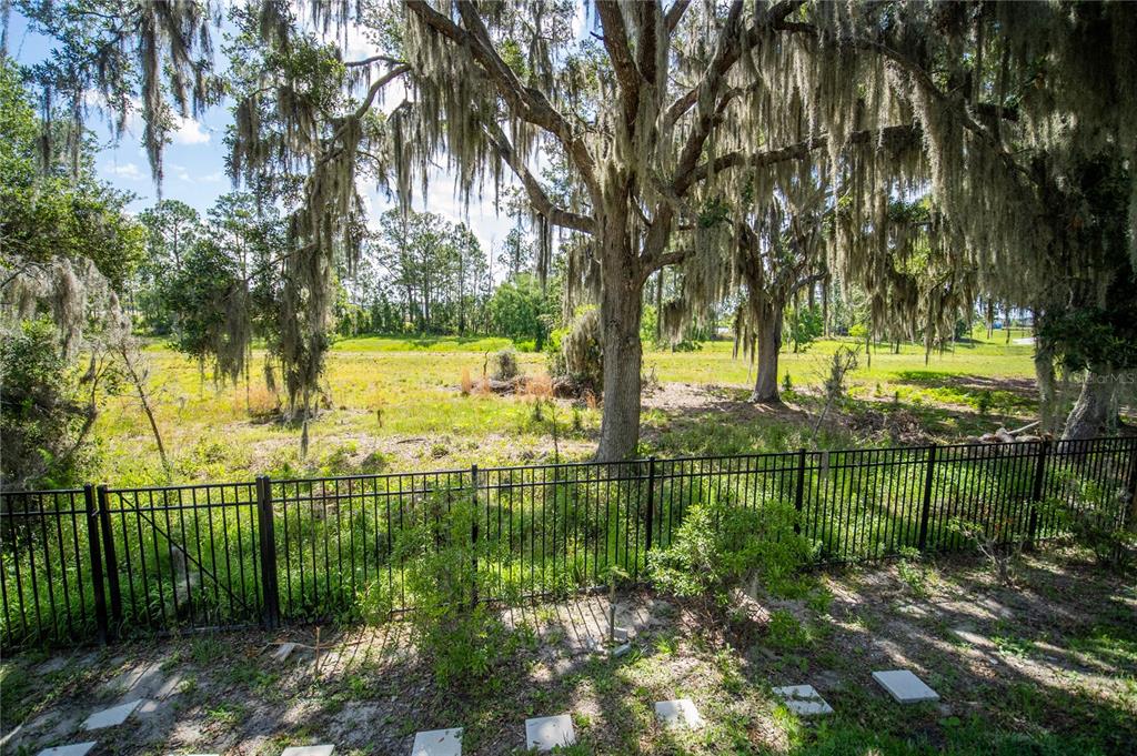 A black metal fence overlooks a grassy field shaded by large trees with Spanish moss — 6236 TRAILBLAZE BEND, ST CLOUD, FL