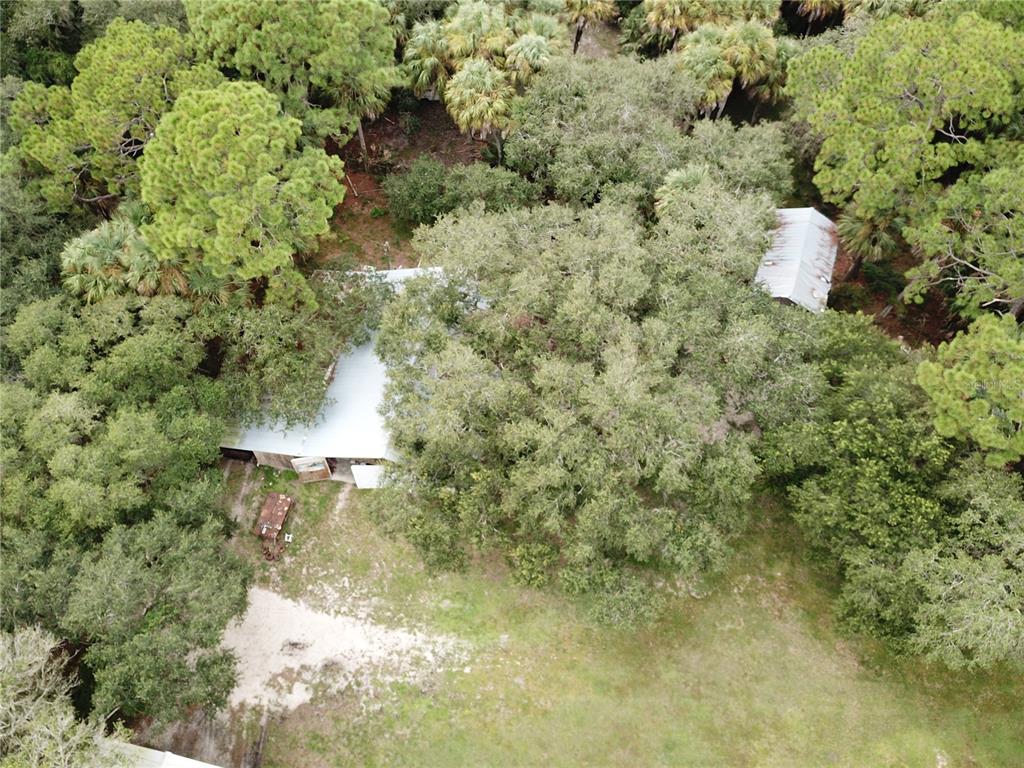 An aerial view shows a house with a metal roof surrounded by dense trees — 3945 COUNTY ROAD 833, CLEWISTON, FL