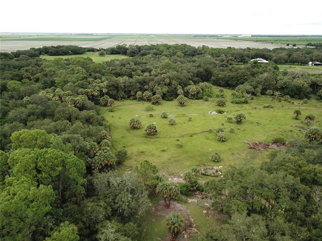 An aerial view shows a grassy pasture surrounded by dense trees and distant agricultural fields — 3945 COUNTY ROAD 833, CLEWISTON, FL