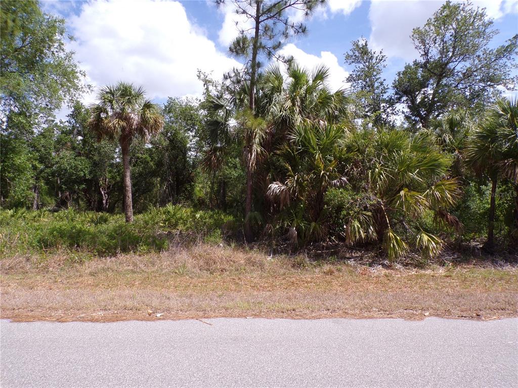 A view of a vacant, wooded lot with palm trees and brush along a paved road — 14448 MCMILLIN AVENUE, PORT CHARLOTTE, FL