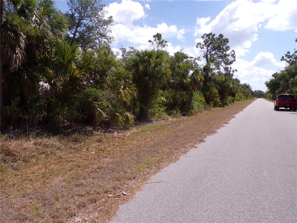 A paved road runs alongside a wooded lot with palm trees and dense vegetation — 14448 MCMILLIN AVENUE, PORT CHARLOTTE, FL