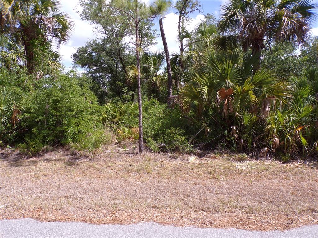 A vacant, wooded lot with dense vegetation and palm trees borders a paved road — 14448 MCMILLIN AVENUE, PORT CHARLOTTE, FL