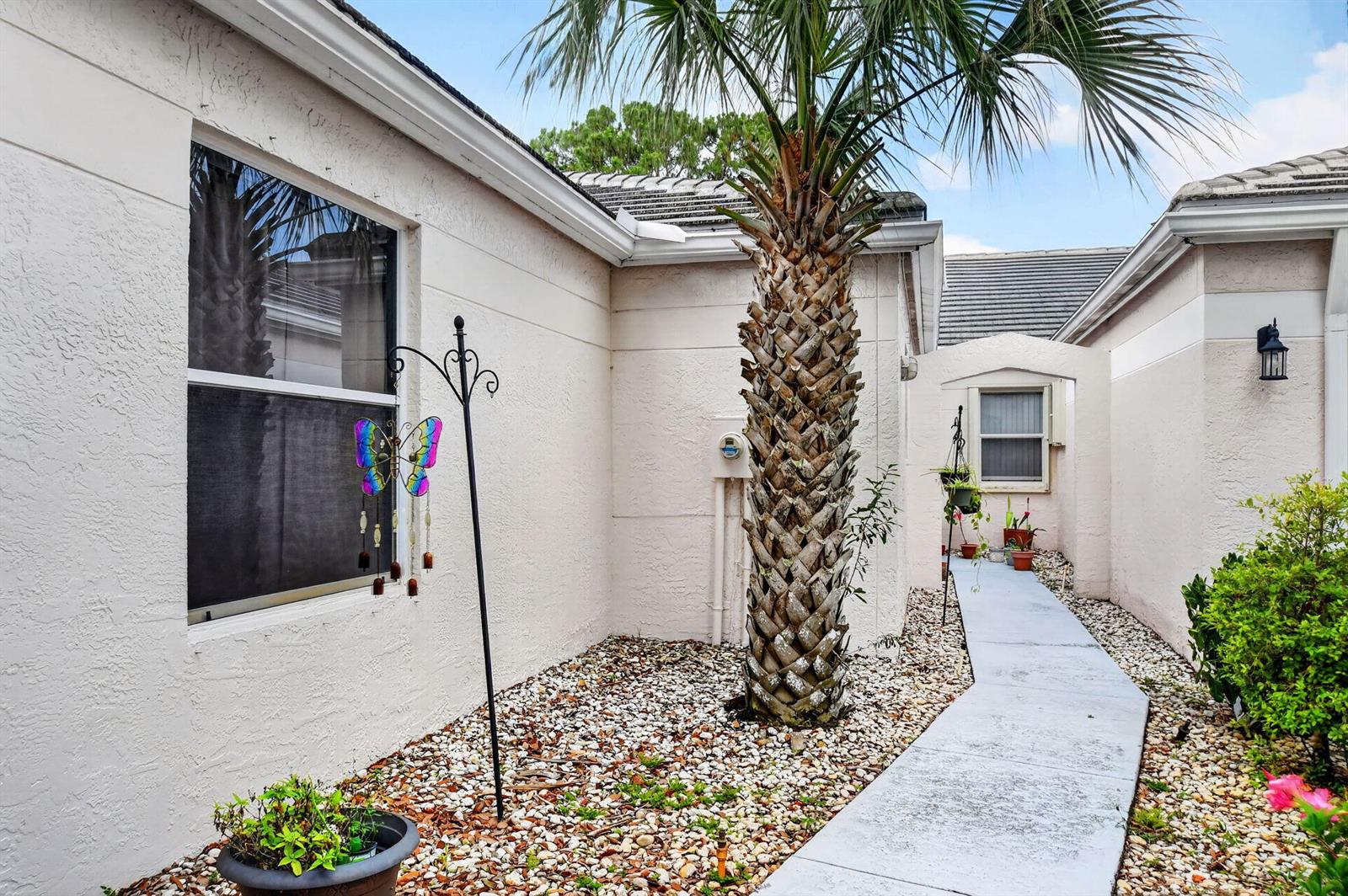 A palm tree stands in a rock-covered courtyard next to a walkway and stucco house — 1081 Island Manor Drive, FL 33413, FL