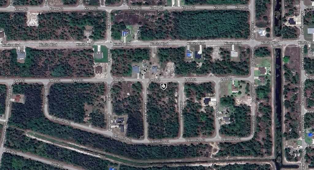 This is an aerial map view of a residential neighborhood with undeveloped wooded lots — 656 LADD STREET, LEHIGH ACRES, FL
