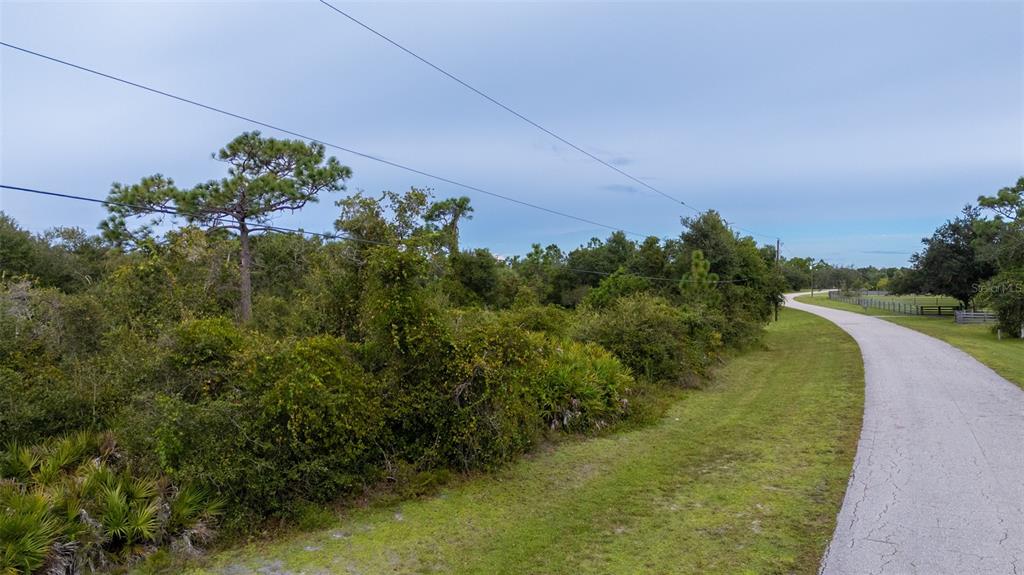 A paved road curves past a wooded lot with dense vegetation and overhead power lines — 5700 BLACKJACK COURT S, PUNTA GORDA, FL