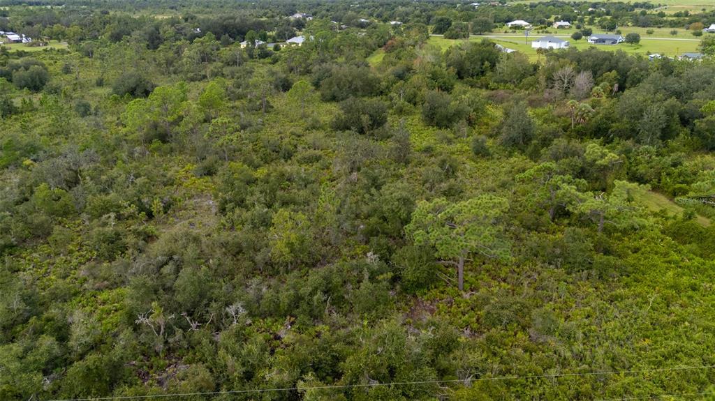 An aerial view shows a large, undeveloped wooded lot with dense vegetation and scattered trees — 5700 BLACKJACK COURT S, PUNTA GORDA, FL