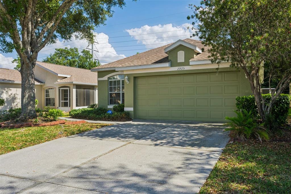A green single-story house with a two-car garage and a concrete driveway — 2925 BANYAN HILL LANE, LAND O LAKES, FL
