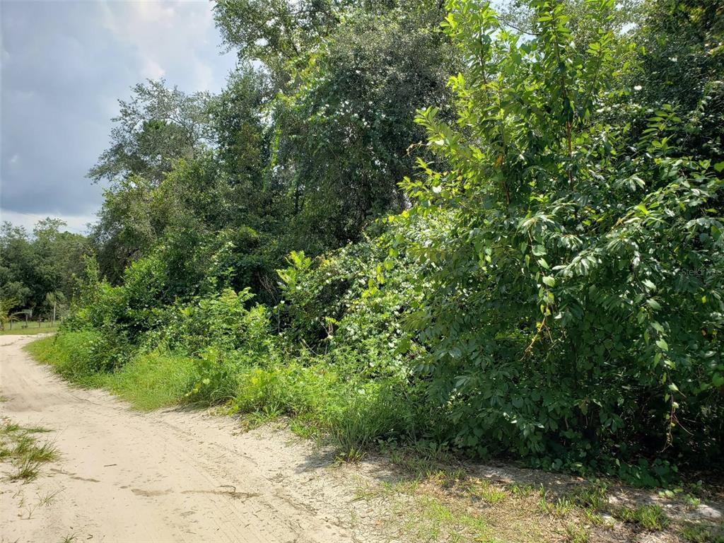 PINE VALLEY DRIVE