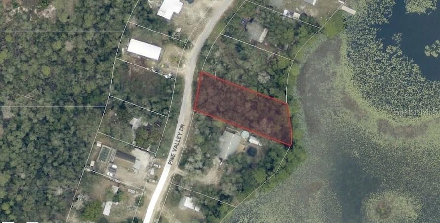 An aerial view shows a vacant, wooded lot highlighted in red along a lakefront road — PINE VALLEY DRIVE, PAISLEY, FL