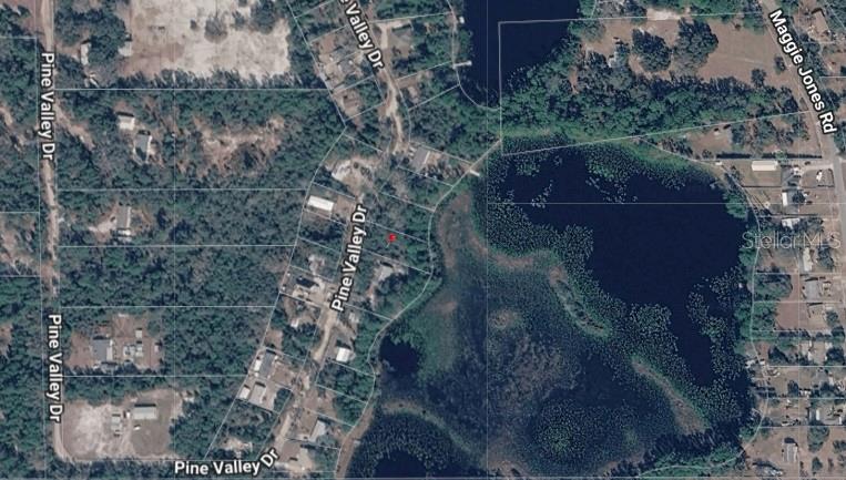 This is an aerial map showing residential lots along Pine Valley Drive next to a lake — PINE VALLEY DRIVE, PAISLEY, FL