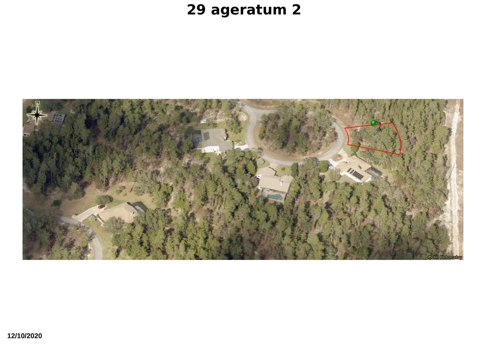 This aerial map shows a wooded residential lot outlined in red within a cul-de-sac — 29 Ageratum Court, FL 34446, FL