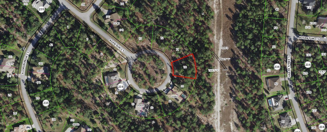This is a map showing a residential cul-de-sac with a highlighted vacant lot — 29 Ageratum Court, FL 34446, FL
