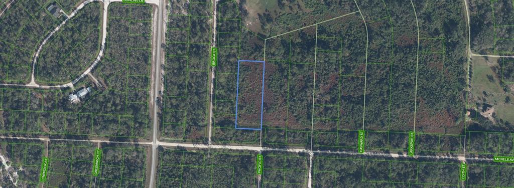 This is an aerial map showing a rectangular parcel of land highlighted in blue — 810 PACIFIC STREET, LAKE PLACID, FL
