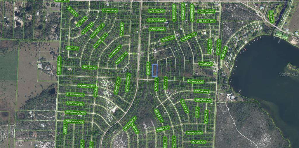 This is an aerial map showing a highlighted vacant lot within a residential neighborhood — 810 PACIFIC STREET, LAKE PLACID, FL