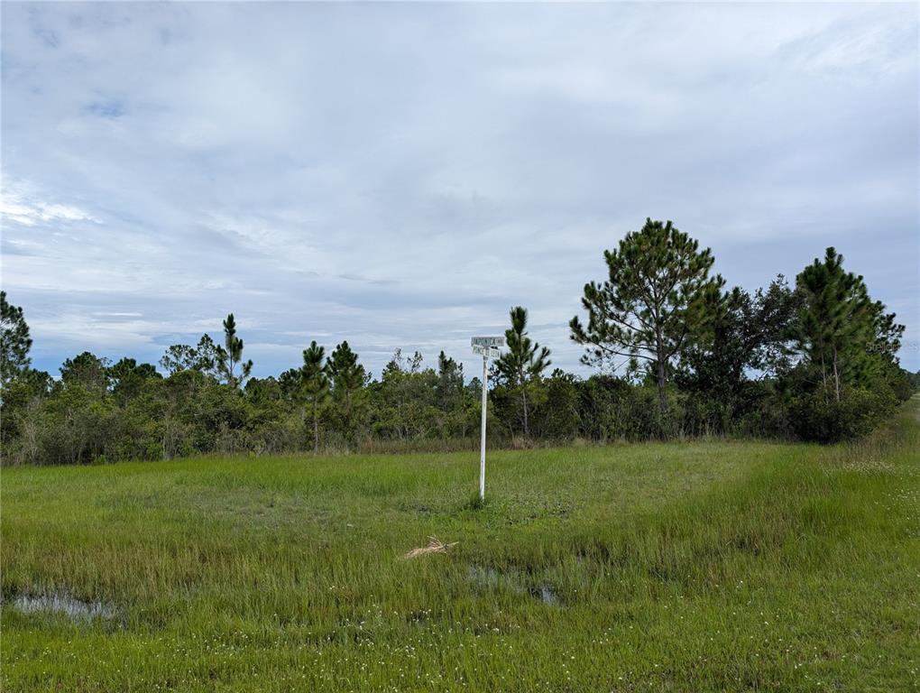 A grassy, undeveloped lot features a street sign at an intersection surrounded by dense trees — 303 JAPONICA AVENUE, INDIAN LAKE ESTATES, FL
