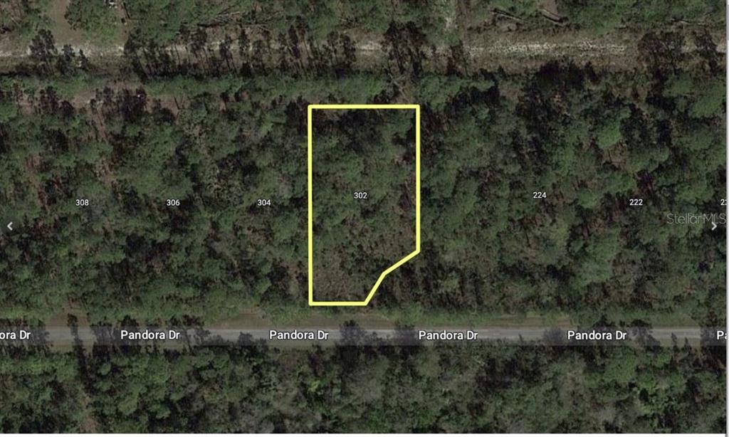 An aerial map view shows a wooded, irregularly shaped residential lot bordering Pandora Drive — 303 JAPONICA AVENUE, INDIAN LAKE ESTATES, FL
