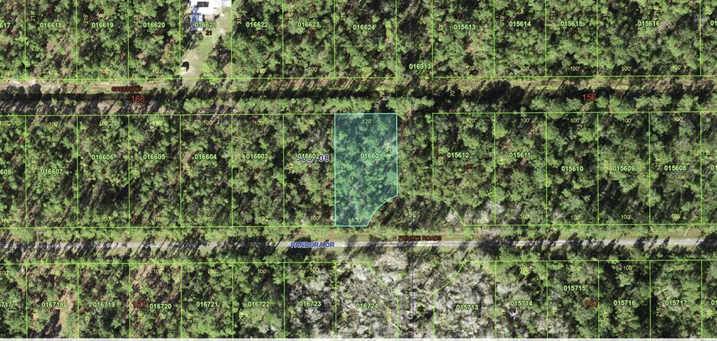 This is a satellite map view showing a highlighted rectangular parcel of land with road access — 303 JAPONICA AVENUE, INDIAN LAKE ESTATES, FL